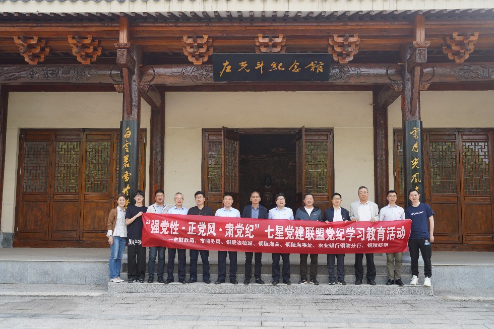 4.銅陵移動(dòng)公司組織開(kāi)展“強(qiáng)黨性 正黨風(fēng) 肅黨紀(jì)”黨紀(jì)學(xué)習(xí)教育主題活動(dòng).JPG